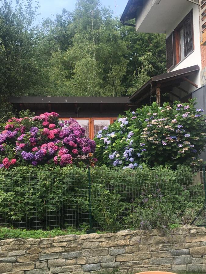 Lo Scoiattolo Bed & Breakfast Giaveno Exterior photo