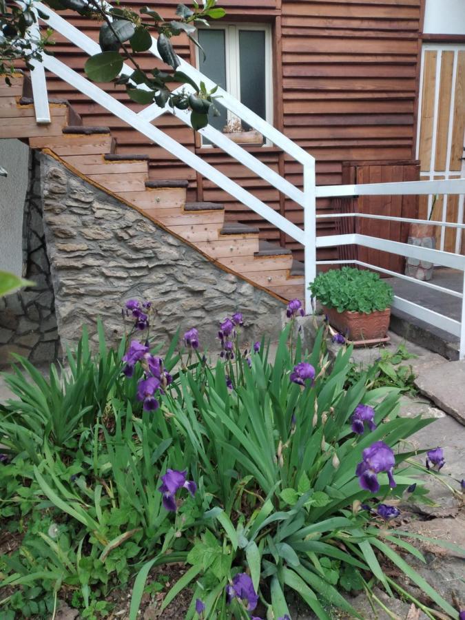 Lo Scoiattolo Bed & Breakfast Giaveno Exterior photo